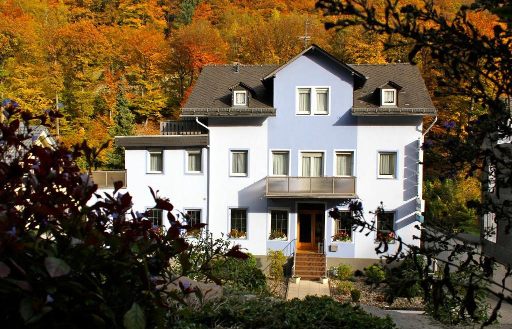 Hotel Ricarda Schlangenbad Eksteriør billede