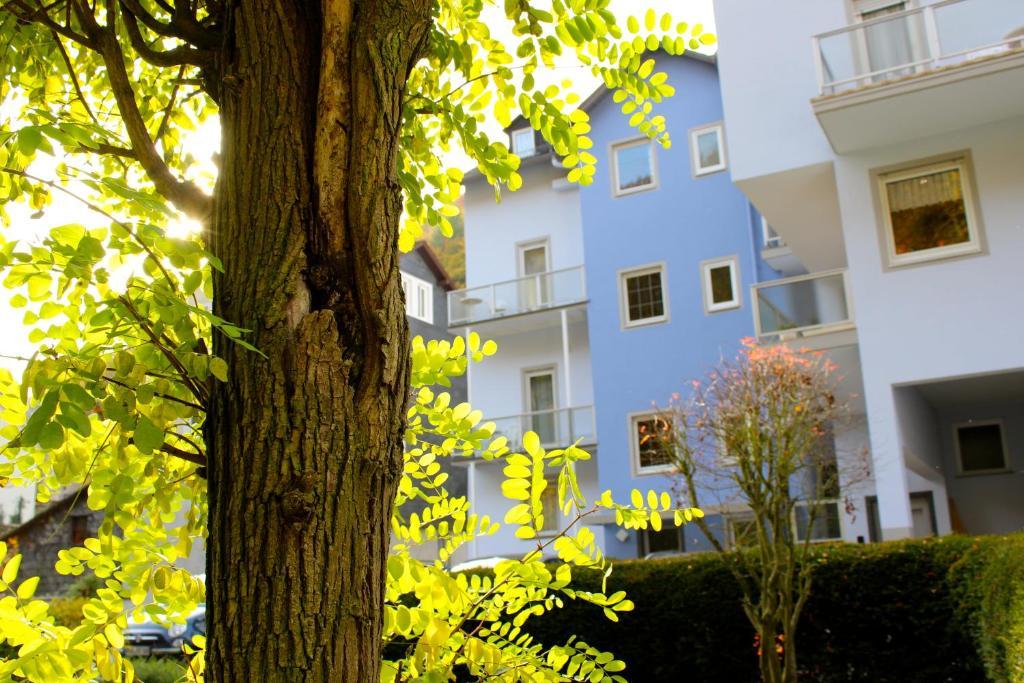 Hotel Ricarda Schlangenbad Eksteriør billede